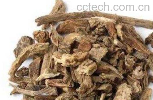 蜜百部的功效与作用及临床应用-0