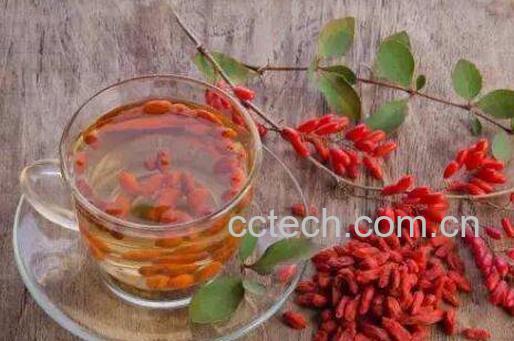 枸杞子泡水喝的害处 黑枸杞泡水喝的禁忌-0