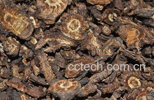 羌活的功效与作用 羌活的副作用-1