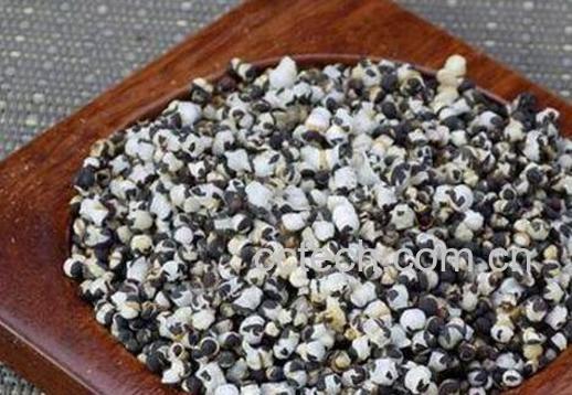 炒王不留行的功效与作用-0