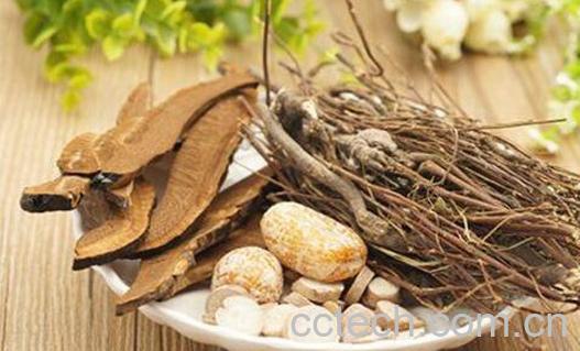 鸡骨草的功效与作用 鸡骨草的食疗用法-0