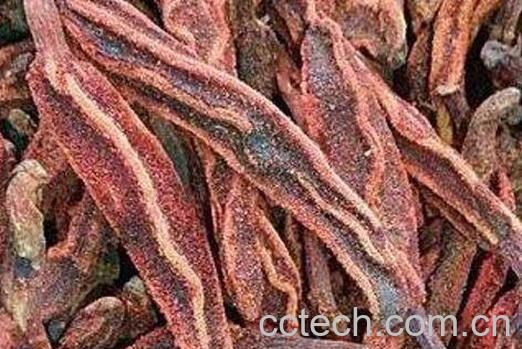 回春草的功效与作用-1