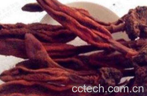 回春草的功效与作用-0