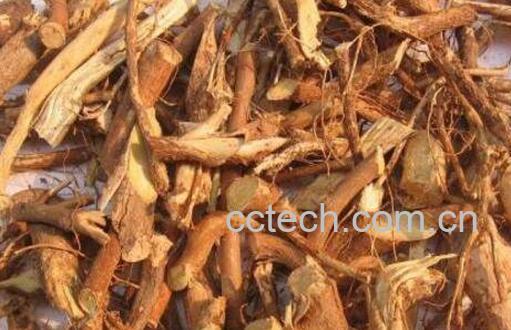 五爪毛桃根的功效与作用-1