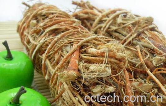 五爪毛桃根的功效与作用-0