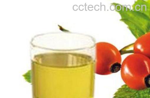 八角茴香油怎么样 八角茴香油的提取方法-1