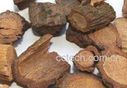 黑老虎根的功效与作用-0