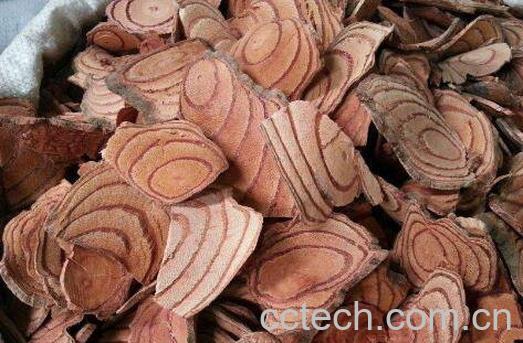 鸡血藤的功效与作用及药用价值-0