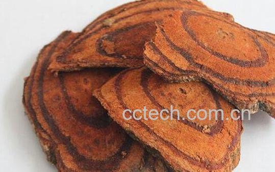 鸡血藤的功效与作用及药用价值-1