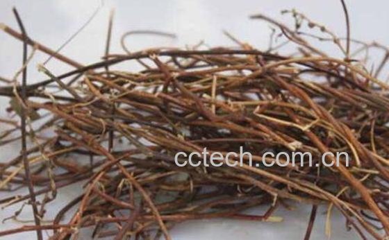 鸡骨草的功效与作用 鸡骨草的副作用-0