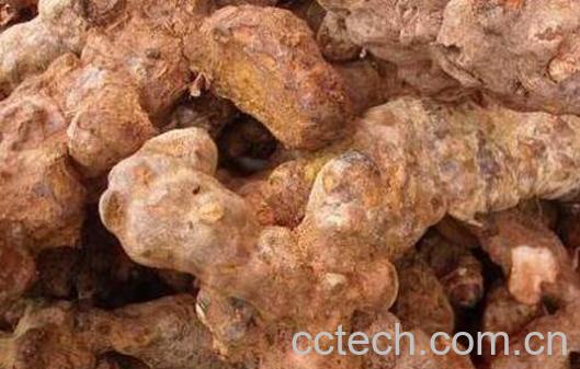 土茯苓的功效与作用及常见用法-0