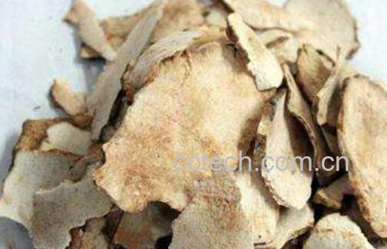 土茯苓的功效与作用及常见用法-1