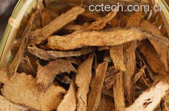 千年健的功效与作用-1