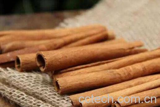 肉桂的功效与作用及药用价值-1