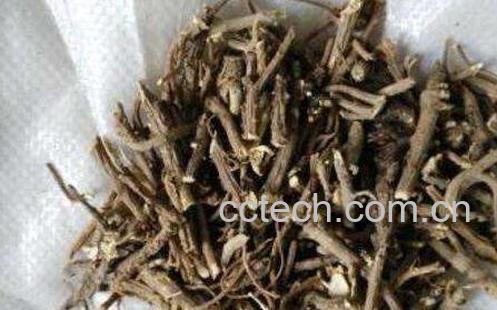 山枣根的作用与功效-0