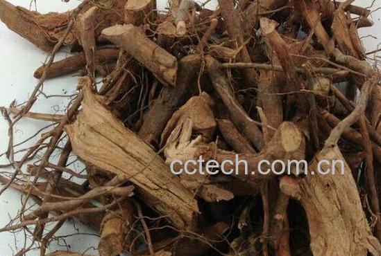 山枣根的作用与功效-1