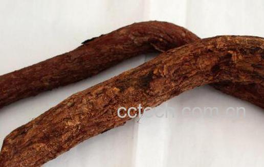 红穿破石的功效和作用及药用价值-1