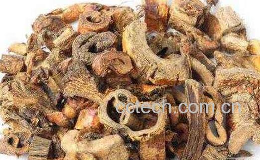 山枣根的作用与功效及药用价值-0