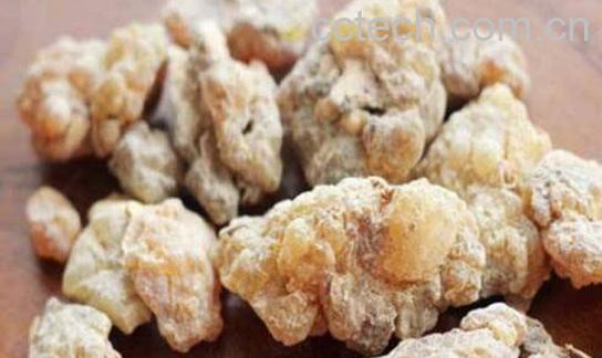 生乳香与制乳香的区别 乳香的功效与作用-1