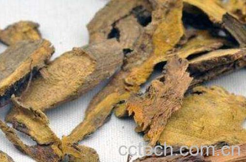 如何用土大黄泡酒 土大黄泡酒有什么作用-1