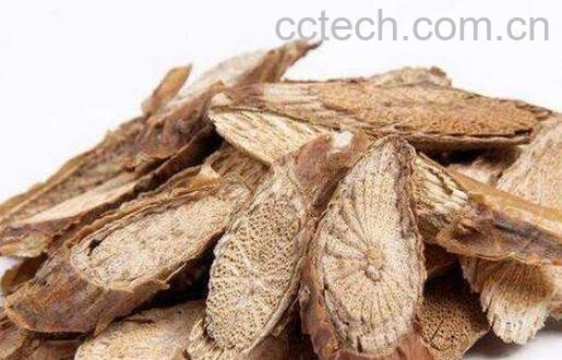 宽筋藤的功效与作用及药用价值-1