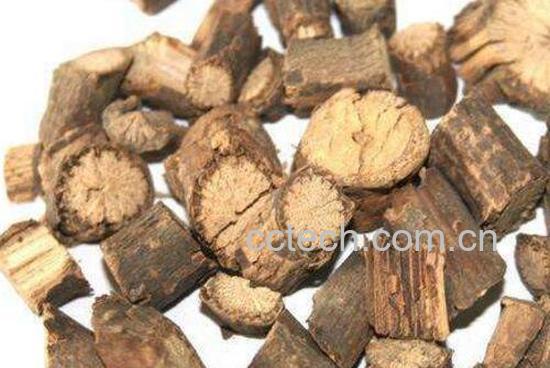  青风藤与海风藤的区别-0