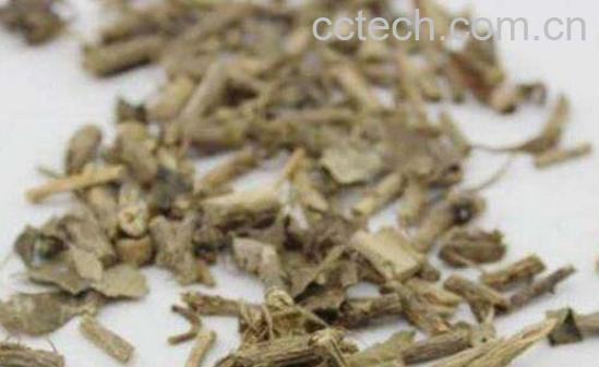 追风藤的功效与作用-1