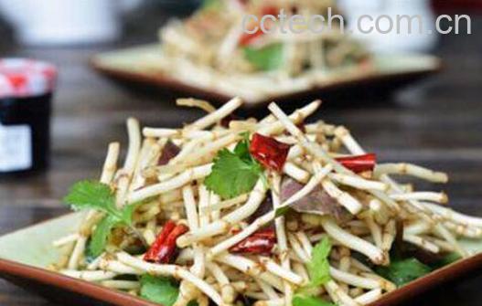 鱼薰草的功效与作用-1