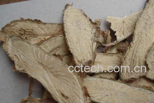 宽根藤的功效与作用-0