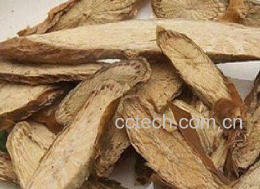 宽根藤的功效与作用-1