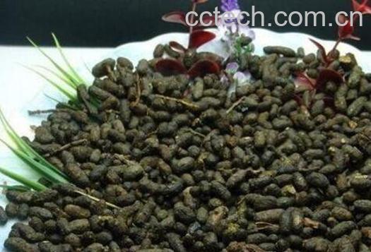  醋五灵脂的功效与作用-0