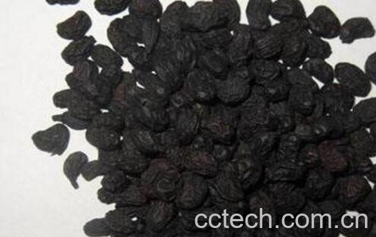 酒女贞子的功效与作用-0