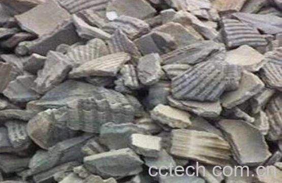 煅瓦楞子的功效与作用及药用价值-0