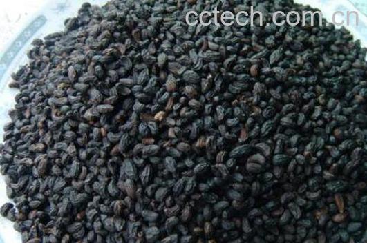 酒女贞子的功效与作用-1