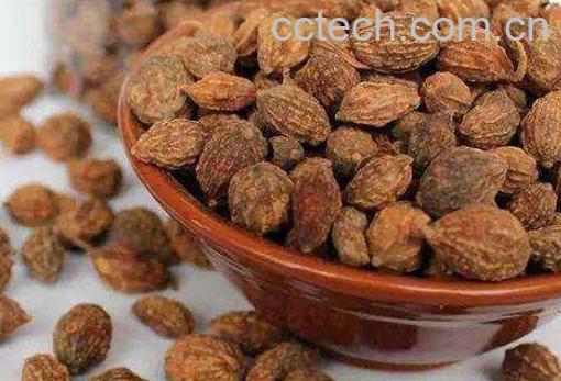 益智仁的功效与作用及药用价值-1