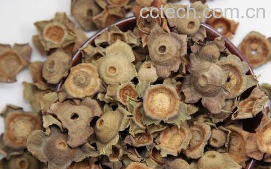 柿蒂泡水有什么作用-0