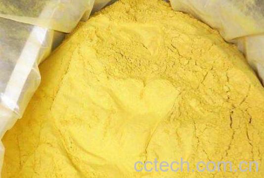 蒲黄的功效与作用及药用价值-1