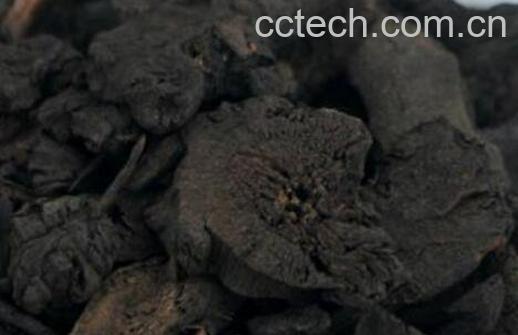 地榆炭的功效与作用及药用价值-0