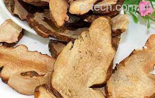 土茯苓的功效与作用及药用价值-1