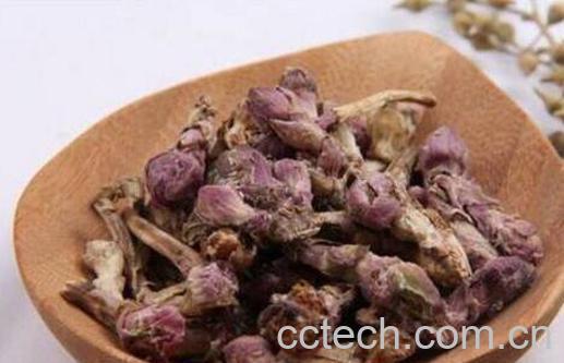 蜜款冬花功效与作用-1