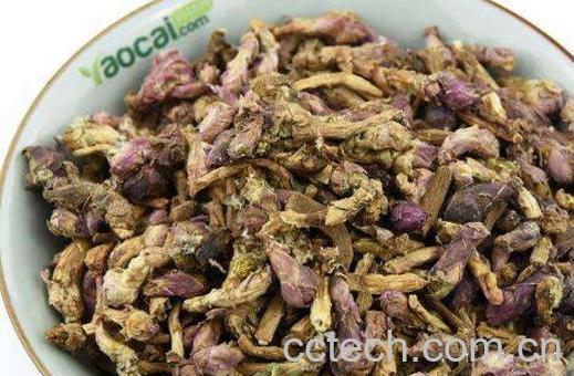 蜜款冬花功效与作用-0