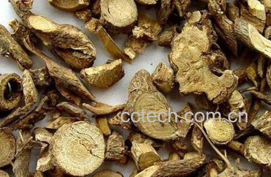 山豆根的功效与作用 山豆根有毒吗-1