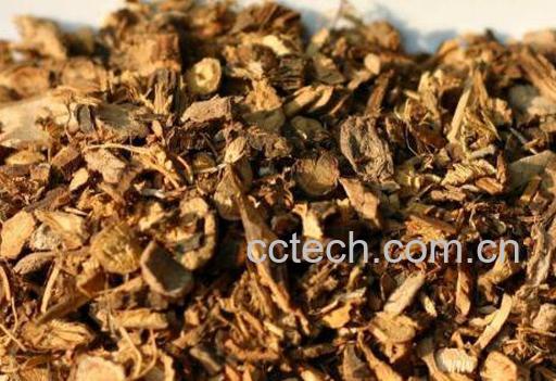 山豆根的功效与作用 山豆根有毒吗-0