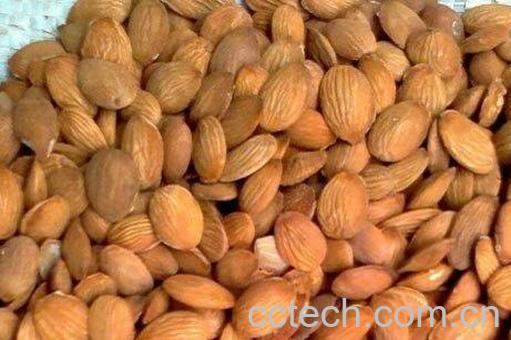 桃仁能生吃吗 桃仁的食用方法-0