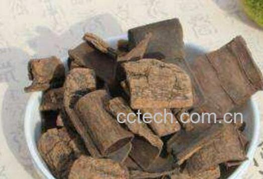 盐杜仲的功效与作用-0