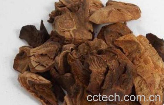 续断片的功效与作用-1