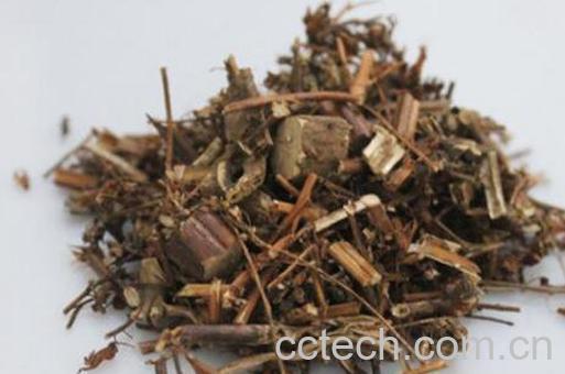 鹿衔草的功效与作用及药用价值-0