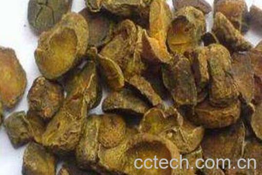 麸炒苍术的功效与作用及药用价值-0