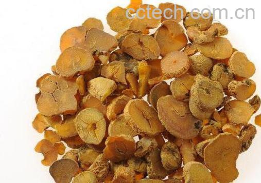 麸炒苍术的功效与作用及药用价值-1