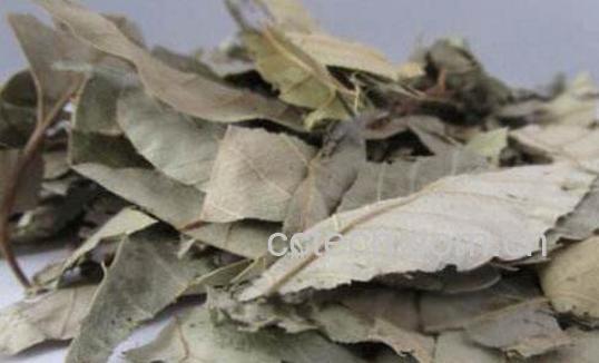 仙灵脾的功效与作用及药用价值-0